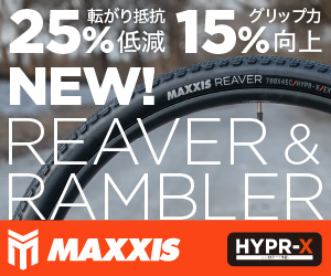 マキシス