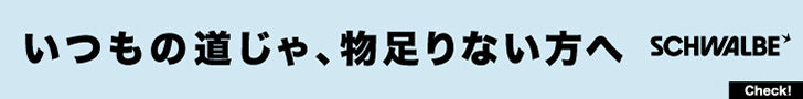 シュワルベ