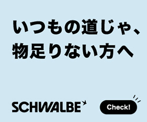 シュワルベ