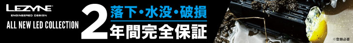 レザイン