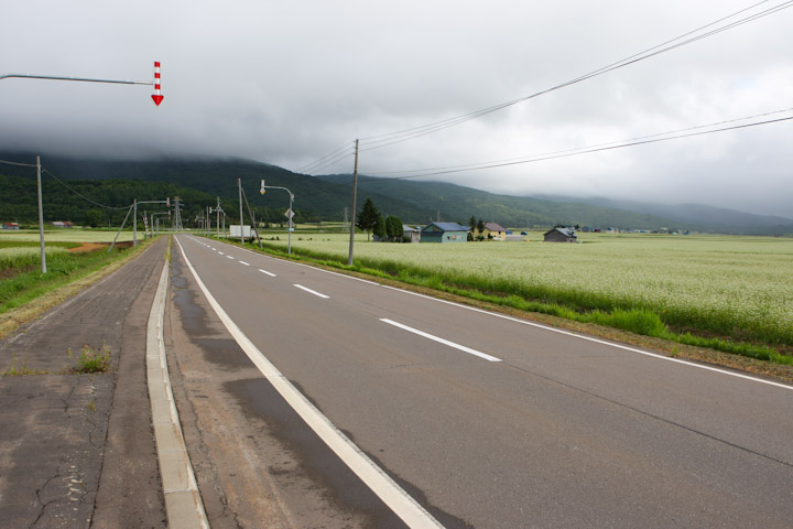 第2ステージ そば畑が広がる幌加内