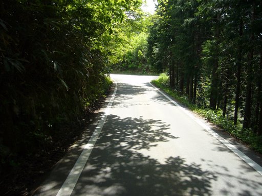 大利峠の登り道