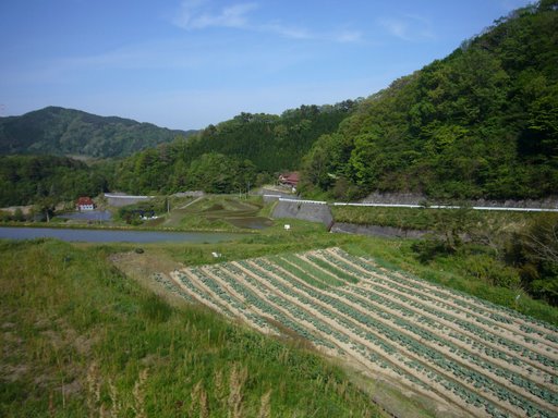 長い長い登り坂