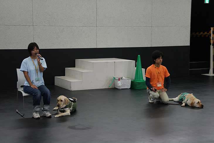 富士ハーネスでの盲導犬デモンストレーション。左より押野さんとウェーブ、長谷川さんとコルク