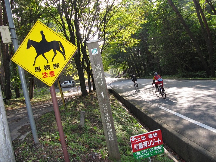 馬が横断するから気をつけて...