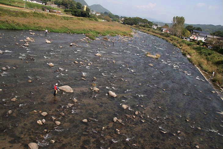 狩野川では多くの釣り人が鮎の共釣りを楽しむ