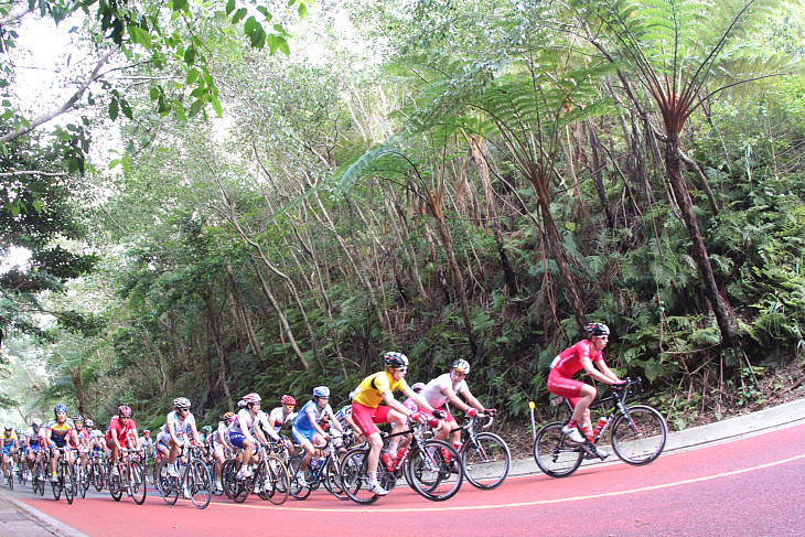 やんばるの熱帯雨林のジャングルのなか走るチャンピオンレースの集団