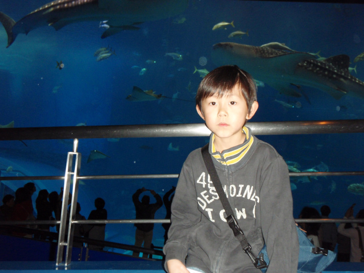 ちゅら海水族館にやってきた。巨大ジンベイザメに感動