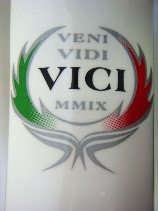 トップチューブ上面に入る2009イタリアチャンピオンの紋章