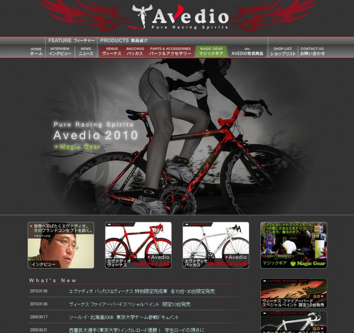 Avedio 2010オフィシャルサイト(画像をクリックするとサイトにジャンプします)