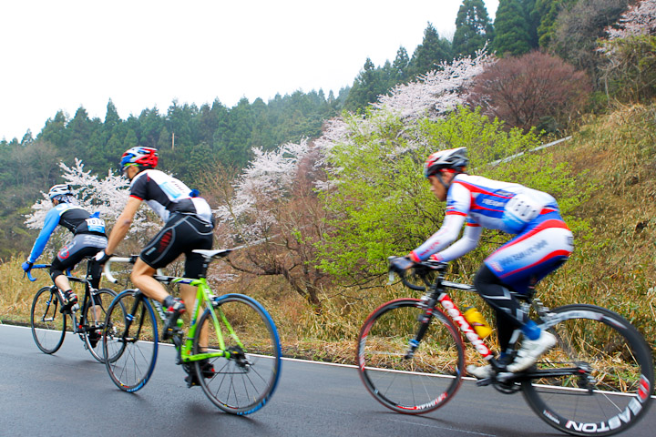 パナソニックヒルクライム 下界は桜と新緑がまぶしい