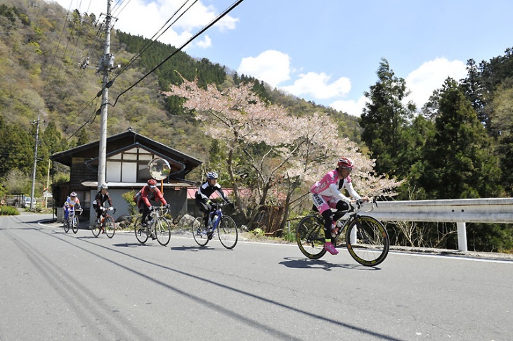 桜も見たいけど、登りがきつい！