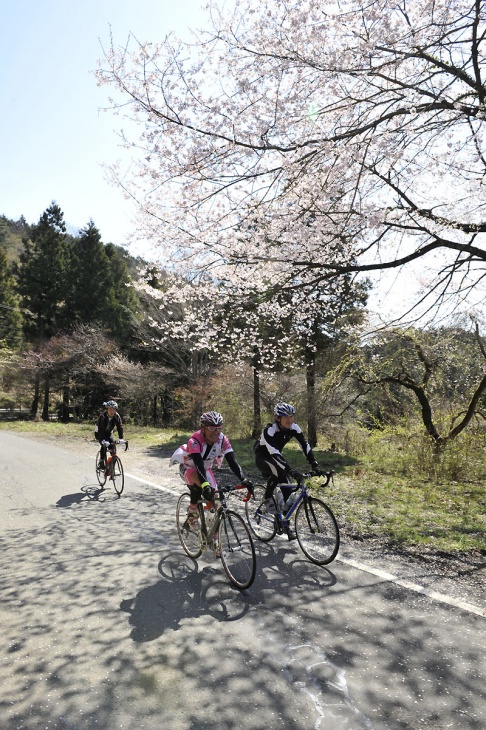 桜の木陰が路面を彩る（写真は第1回大会）