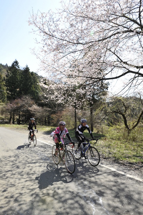 桜の木陰が路面を彩る(写真は第1回大会)