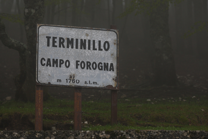 霧立ちこめるテルミニッロ山頂
