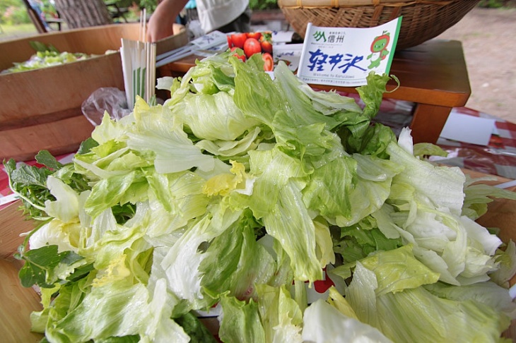 エイドで供された朝摘み高原レタス。シャキシャキで美味い！