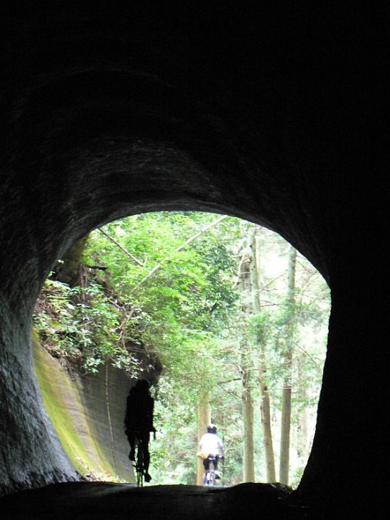 手堀りのトンネルを進む参加者の皆さん。子供の頃の小さな冒険のような光景