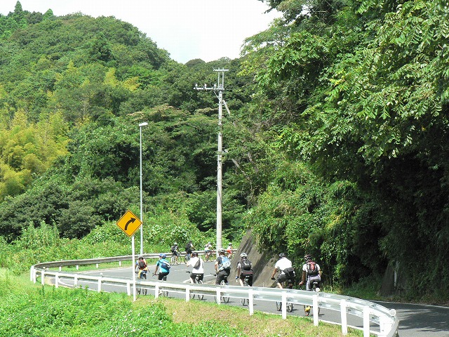 房総の豊かな自然の中を自転車で進む参加者たち。今回、多かった子供さんも力強く山を走ってサイクリングを満喫