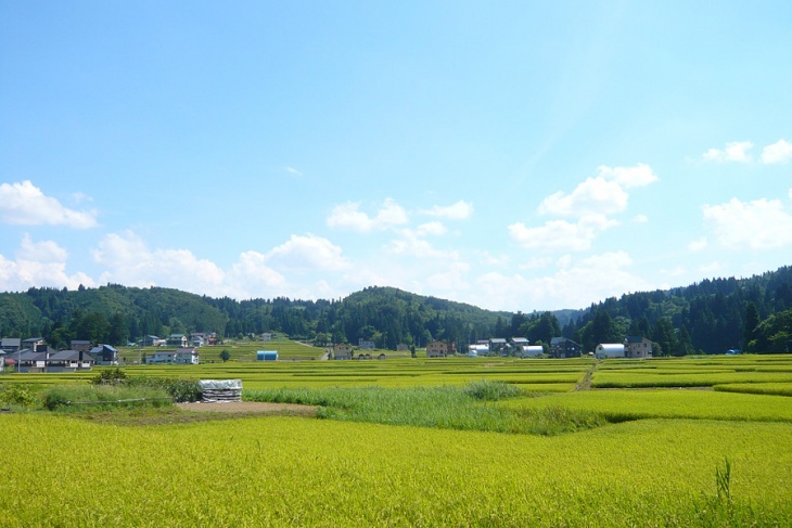 開催地田麦山ののどかな田園風景