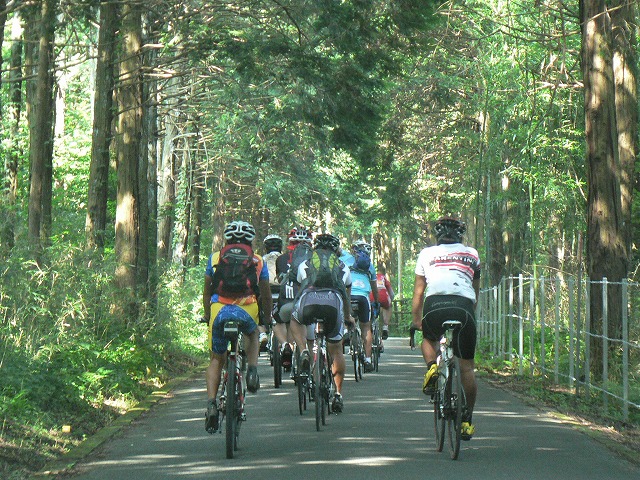 当日はかなり暑い日であったが、木陰を走ると爽快！これもサイクリングの醍醐味