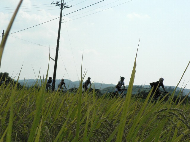 ここまでくれば、あと少しでゴール。夏の名残りの残る田園風景を自転車で走る