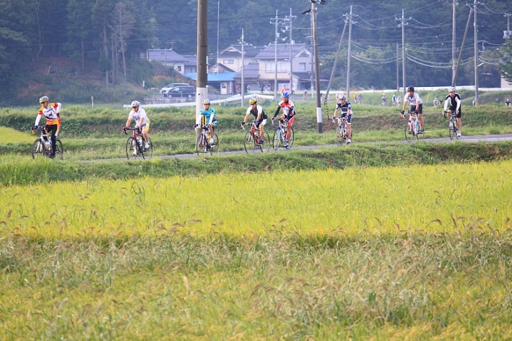 のどかな田園地帯が続く