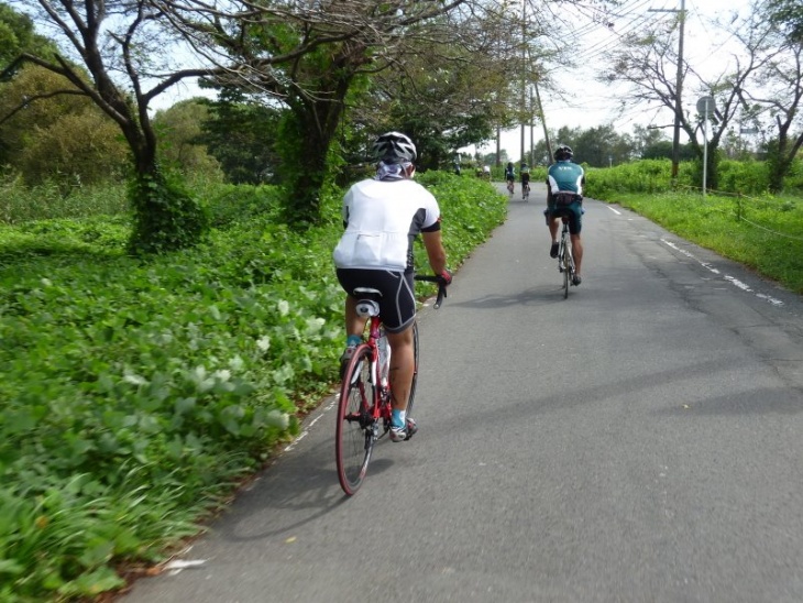琵琶湖の北の方はサイクリストが多い