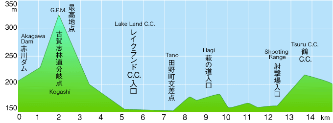 ジャパンカップ2010コースプロフィール