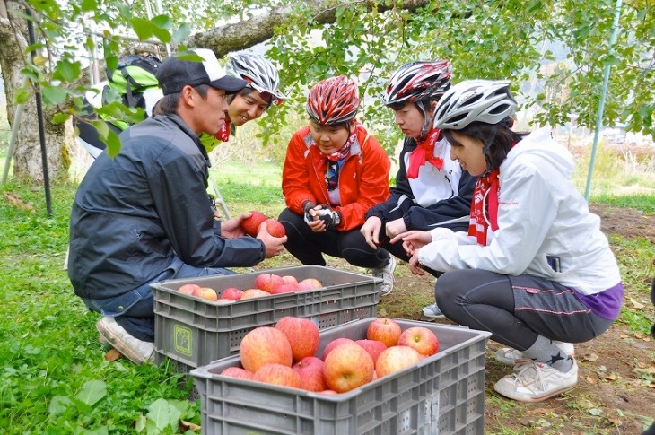 普段何気なく食べているリンゴも、またおいしさやありがたさも増す