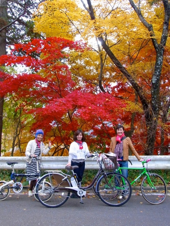 当日は紅葉のまっ盛り！先週では早すぎで、来週ではもう遅いと言うことでした。