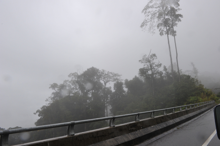 霧に覆われた山岳地帯を進む