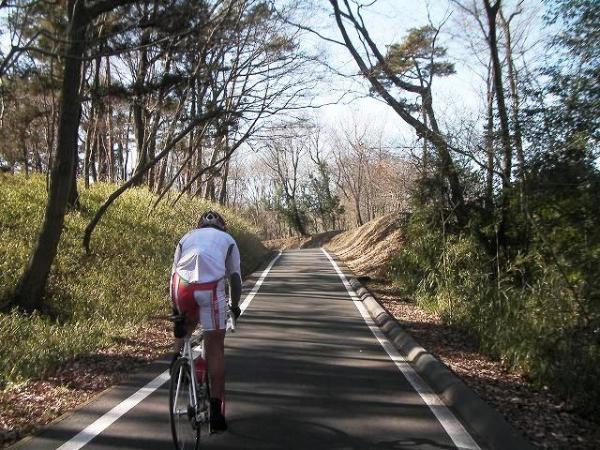 緑に囲まれた快適な道が続くコースでエンデューロが行われる