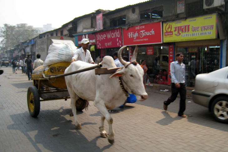 牛車が走るムンバイ市内