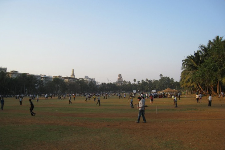 公園でクリケットを楽しむインド人たち