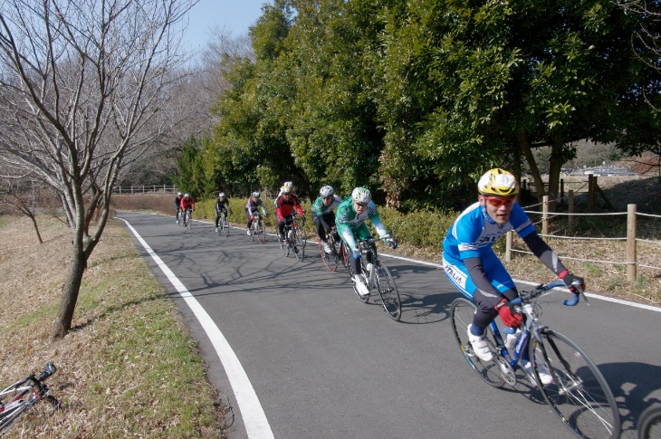 舗装もキレイな素晴らしいサイクリングコースだ