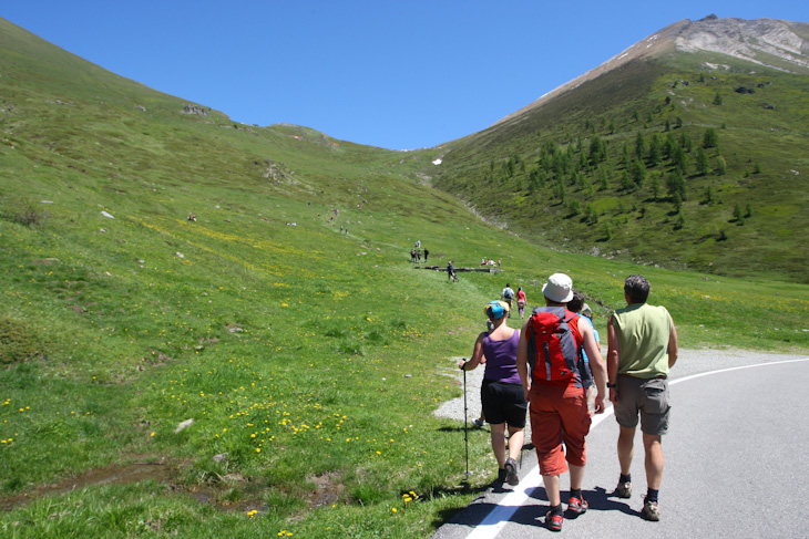 緑が美しいフィネストレ峠の南側を徒歩で登る（山が低くなっている部分が頂上）