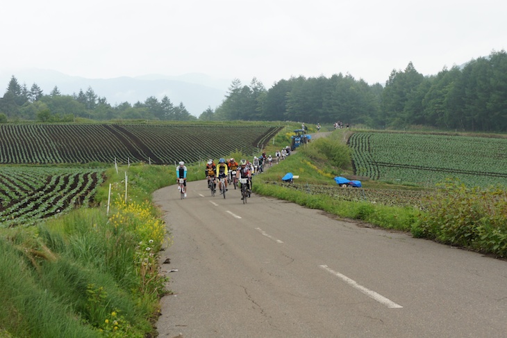 それまでの峠道からは想像もつかないほど、広大な風景が広がっていた