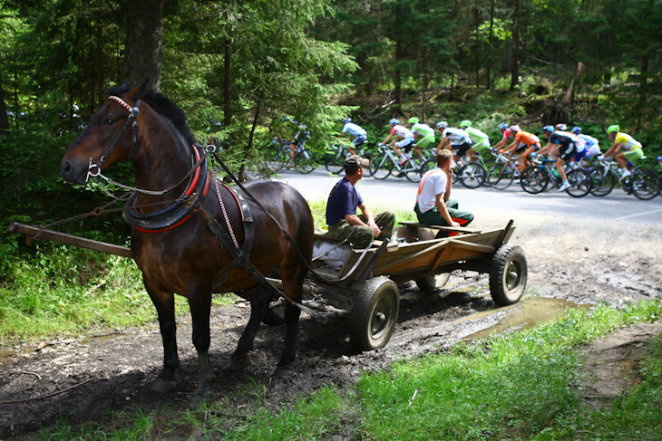 馬車に乗ってレースを見守る