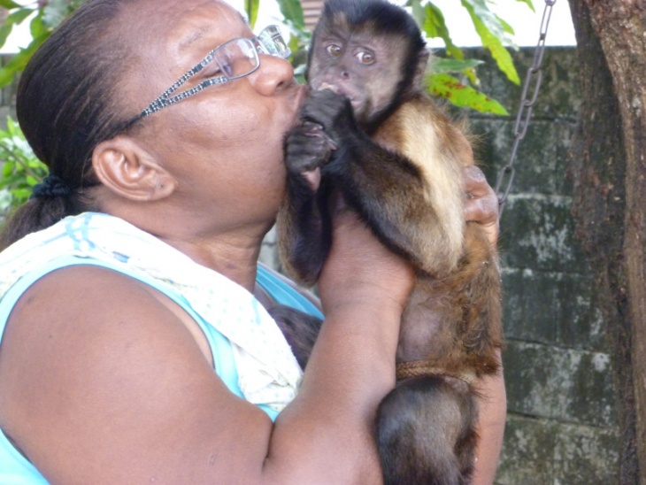 ペットの猿を見かけた。ジャングルで生け捕りにしたのか…？ご婦人の様子を見る限り「愛されている」ようである