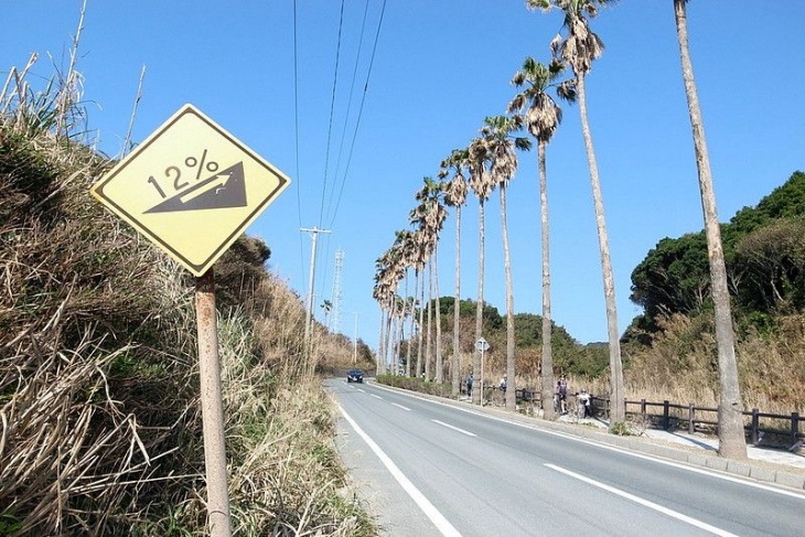 ロングビーチに続く道。景色は南国のよう