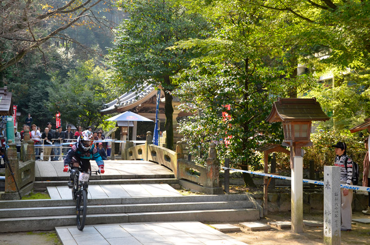 静寂なはずの神社が激しい戦いの舞台になった