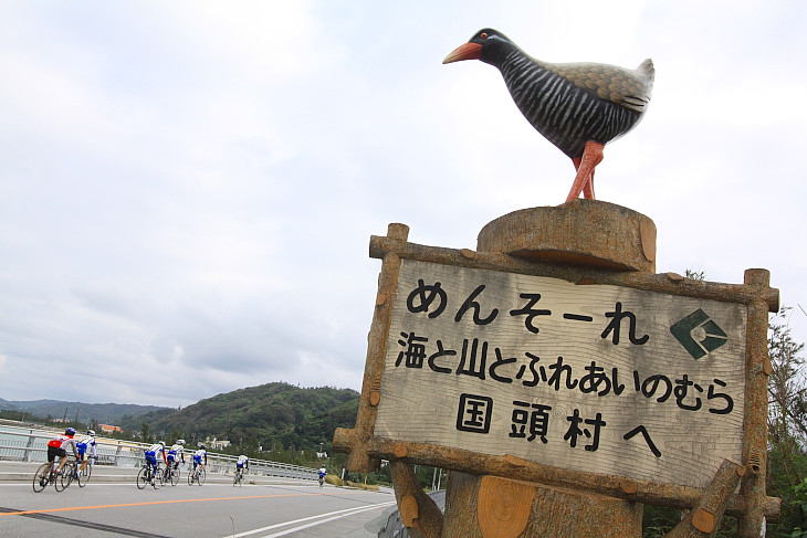 やんばるクイナが見守る中を走る