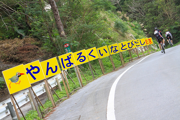 やんばるクイナの交通事故防止を訴える看板