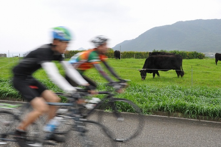 牧草地が広がる風景の中を行く