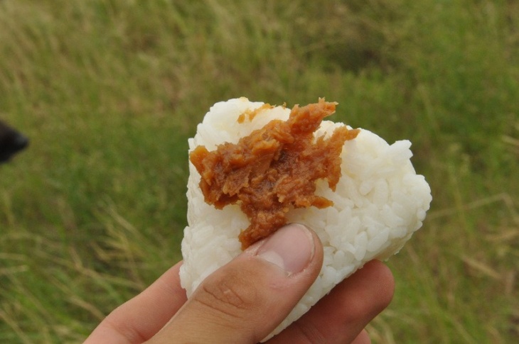 これが名物アブラ味噌のおにぎり ３つ頂きました