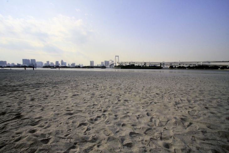 海浜公園内の砂浜セクション「お台場の砂地獄」