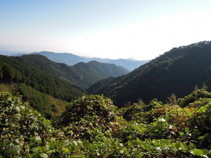 秩父の絶景が広がる