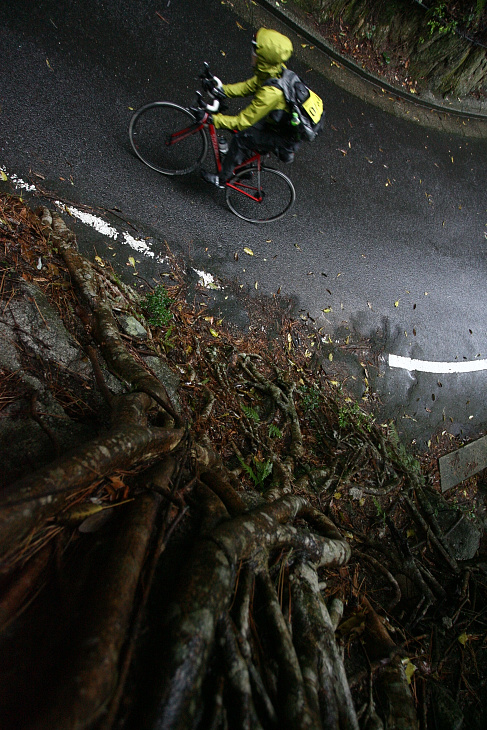 西部林道の道幅は狭く、自然を間近で感じることができる