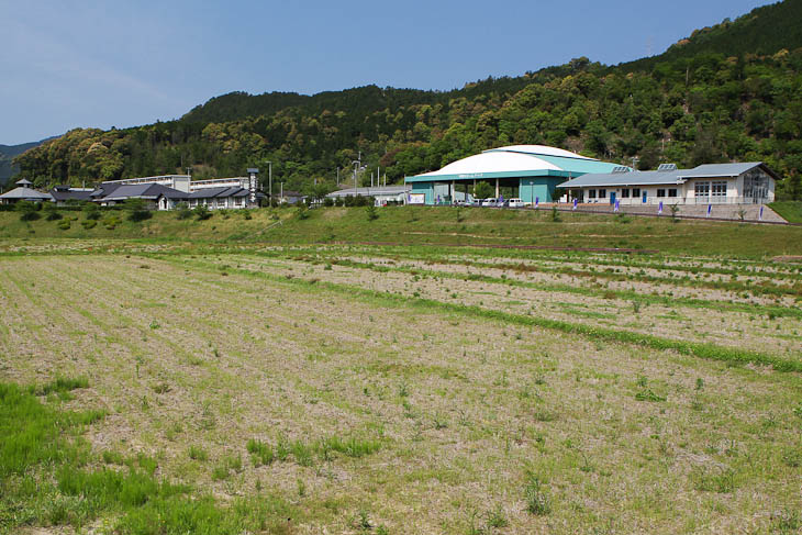 第1ステージのS/Fライン付近。奥に見える建物が水没した