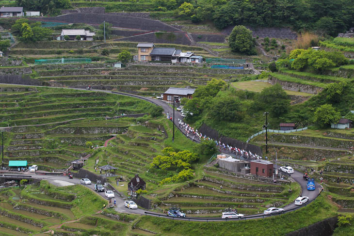 第2ステージ　千枚田を上る集団